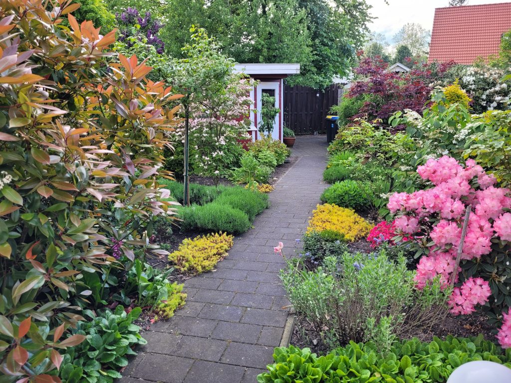 Ein gepflasterter Gartenweg, gesäumt von einer abwechslungsreichen Bepflanzung aus roten Ahornbäumen, grünen Sträuchern und blühenden Blumenbeeten.