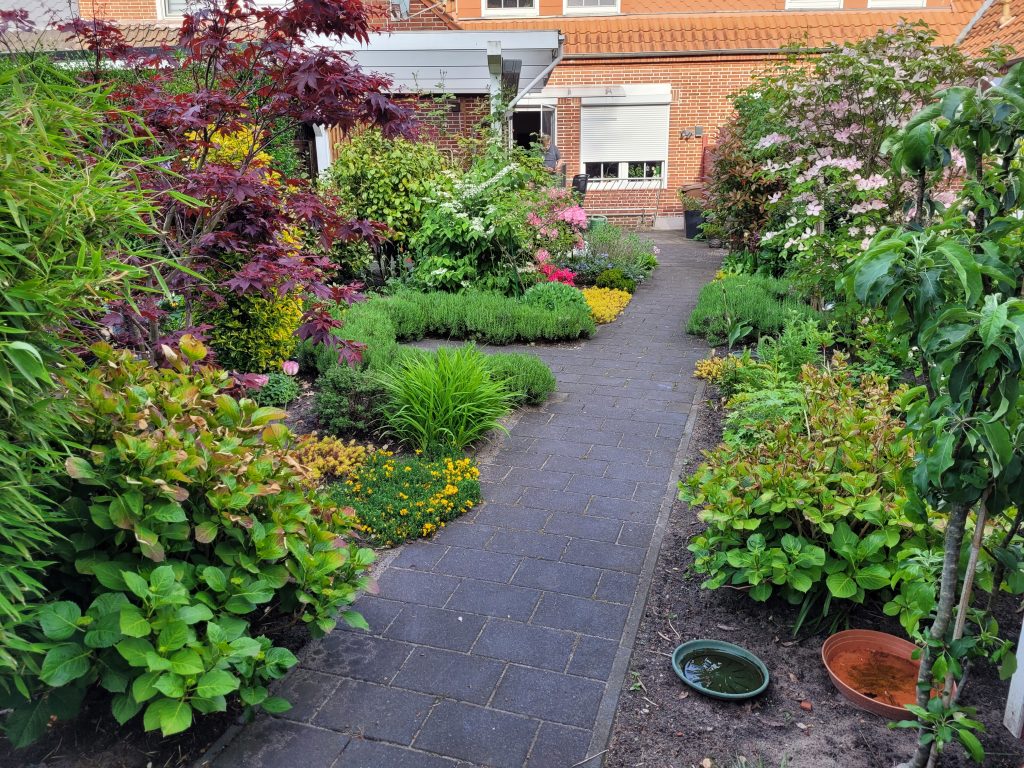 Ein geradlinig gepflasterter Gartenweg aus dunklen Steinen, umgeben von einer dichten, grünen Bepflanzung mit Gräsern, Stauden und Sträuchern.